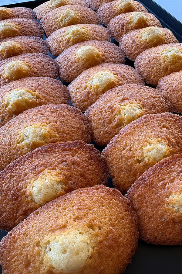 Alternative view of 24 MADELEINES VANILLE